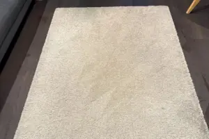 Home 59 Rug cleaning with hot water extraction wand